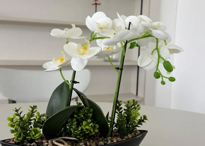 Soft Center - River View Апартаменты *